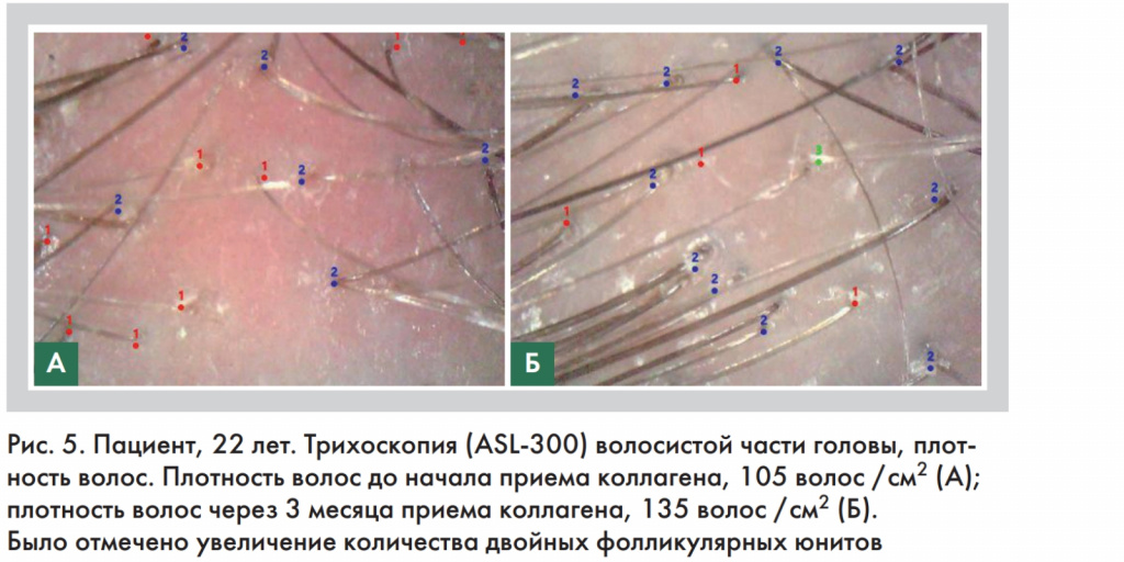 Рис 5 на сайт.jpg