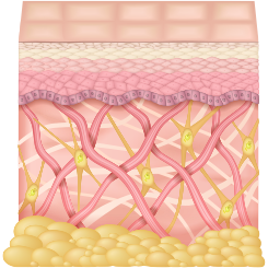 Коллаген pro life skin. Смотреть фото Коллаген pro life skin. Смотреть картинку Коллаген pro life skin. Картинка про Коллаген pro life skin. Фото Коллаген pro life skin